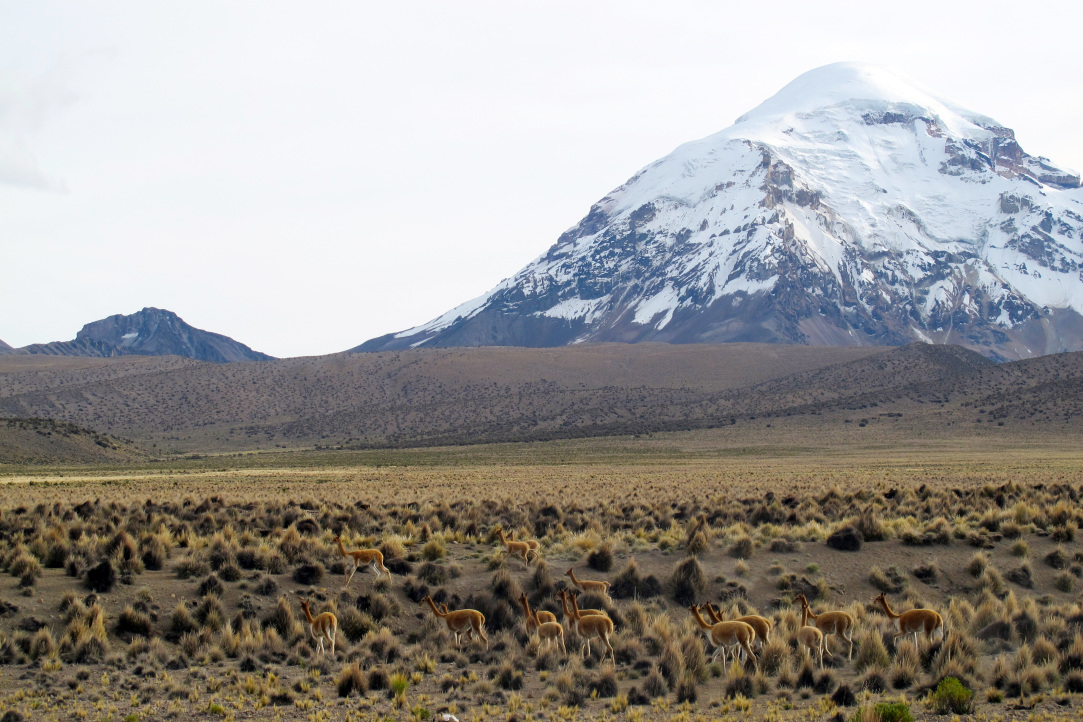 Вулкан Сахама, Боливия